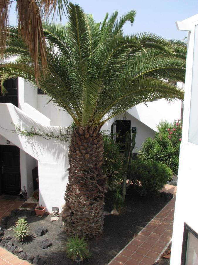 プエルト・デル・カルメンCasa Del Sol Pdcアパートメント エクステリア 写真